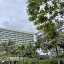 파크수영장 | 나트랑 알마 리조트 깜란 | 조식 수영장 워터파크 후기 (내돈내산 솔직 후기)