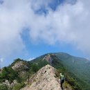 147차 정기산행(신불산) 공지 이미지