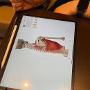 니드트레이닝센터 이미지