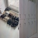 내몸에깃든바른자세운동 | [운동리뷰] 내몸에깃든 바른자세운동 본점, 즉각적인 통증 개선을 위한 탕정 필라테스