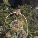 포레엠(Foret M) 이미지