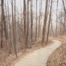 강남-293 이미지