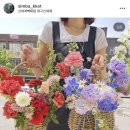 심고;바라보다 이미지