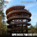 태백 여행, 아이와 가볼만한 곳 :: 태백산하늘전망대, 태백석탄박물관, 365세이프타운, 태백고생대...