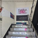 헤어볼하우스 이미지