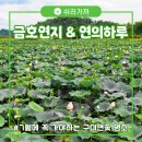 금호1농장 이미지