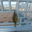 마검포해수욕장 이미지