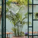 카페조이 이미지