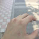 [2024년 상반기]프랑스어와 문화(초급) | 굳이 다시 또 보고 싶지는 않은 것 같은 2025년을 나름대로 유쾌하게 보내며 적은 글.txt