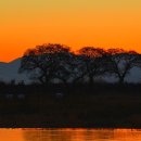 아침들녘 이미지