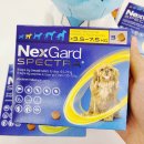 주차편한우리약국 이미지