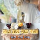 달치즈구좌세화점