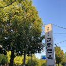 교동면옥 김해어방점 | 김해 육전냉면 맛집 가마솥 육수의 깊은 맛 [교동면옥]