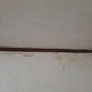 원화여자고등학교 이미지