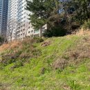 경주베이스볼파크 인공암벽장 | 부산 동래읍성 산책 / 복천동 고분군 산책