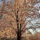 우장산역 1번출구 이미지