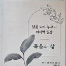 죽음과 삶 : 얄롬 박사 부부의 마지막 일상 - 이혜성 옮김 이미지