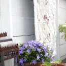 꿈의 정원 이미지