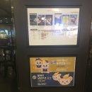 스파이더롯데포항 이미지