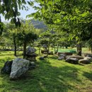 성주농원 이미지