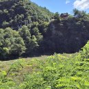 서화터미널 이미지