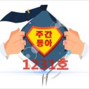 1231 이미지