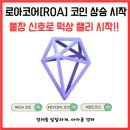 로아(ROA)
