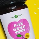요들네이쳐 이미지