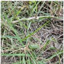 느린 오후가 있는 집 이미지