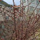 선학농장 이미지