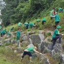 새마을기념비 이미지