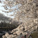 [양재] 포터블로프트 | 양재천/양시숲 분위기 좋은 야장 맥주/와인 맛집