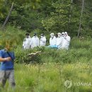 강진 실종 추정 여고생 부검..뚜렷한 외상 발견 안 돼 이미지