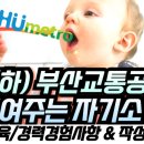 개인화물496 | 필승NCS 🚄 25년 하반기 부산교통공사 자기소개서 작성법 ✍ feat.템플릿, 교육사항, 경력경험사항
