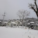 모래틈농장 이미지