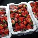 백우농장 이미지