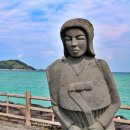 (주)하나국제무역 이미지