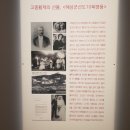 용산 아모레 퍼시픽 뮤지엄(APMA) 조선 병풍의 나라1, 2 후기