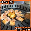 기운네흑돼지 이미지