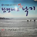 함평해보뻘낙지 이미지
