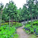 봄 요양병원 이미지