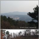 은화삼주유소 이미지