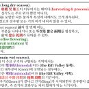 대성건기 이미지