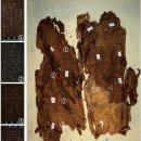 중국 고고학 마왕퇴 한묘의 새로운 발견: 출토 견직물에는 상서로운 문구가 짜여져 있습니다. 이미지