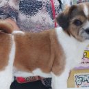 행담 동물병원 이미지