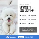 마음담은 동물병원 이미지