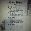 내일을향하여 이미지