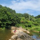 풍전가든 이미지