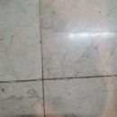 광택마을 이미지