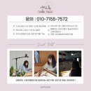 월천유치원 | [충남 샌드아트] 천안 아산 월천 유치원 인성교육 동화 샌드아트 공연